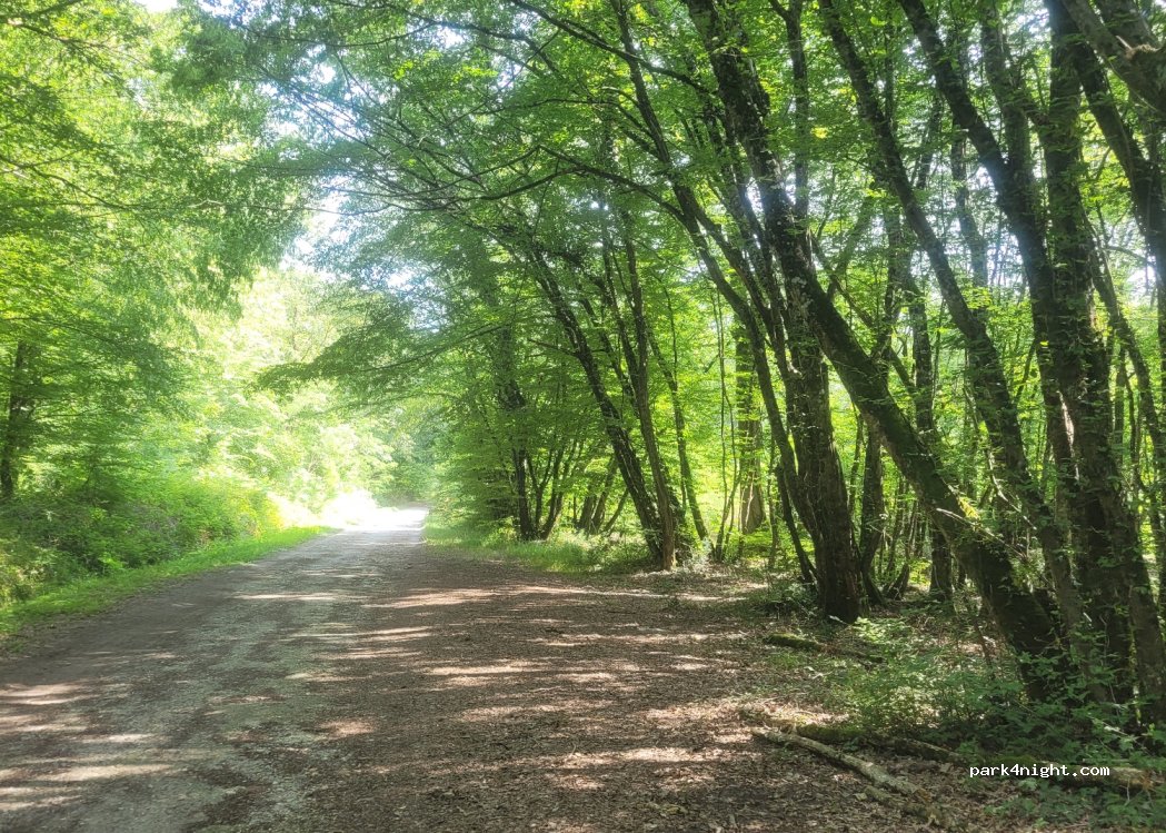 (36300) Douadic - Unnamed Road — foto