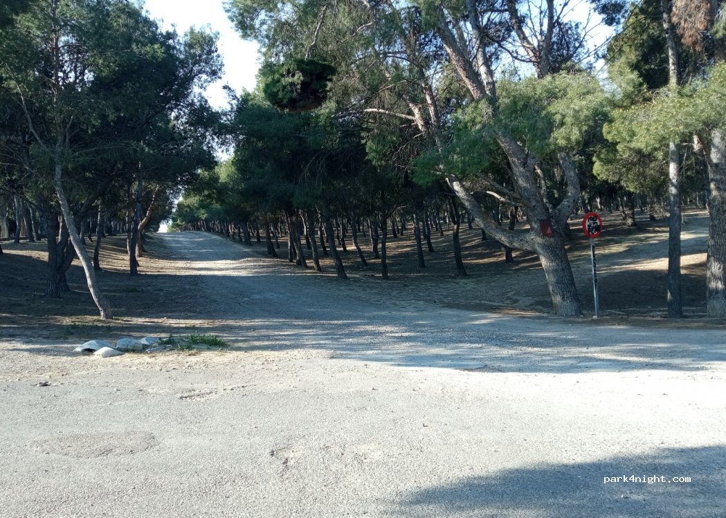 (50007) Zaragoza - 9 Paseo Duque de Alba — foto 4