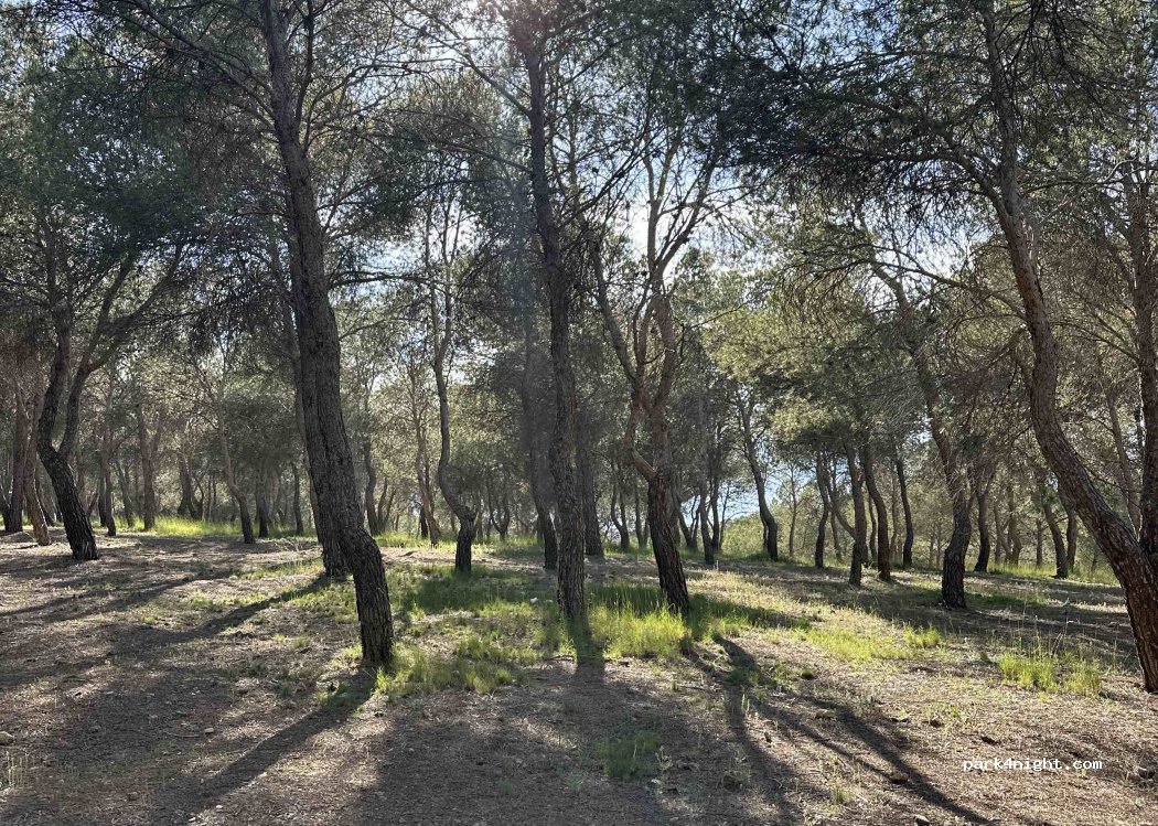 (50007) Zaragoza - 9 Paseo Duque de Alba — foto 5
