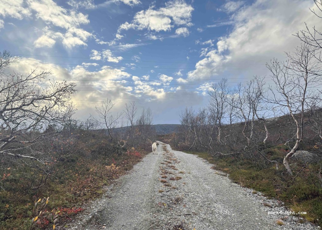 (6600) Sunndalsøra - 1 Torbuvatnet — foto 4