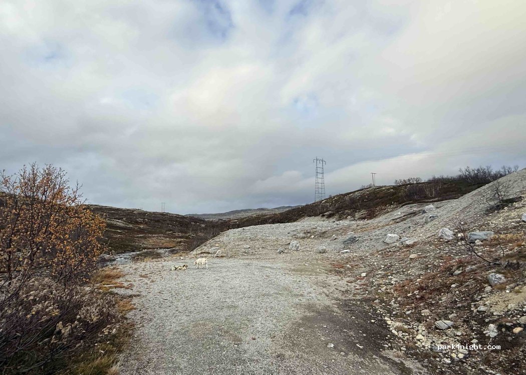 (6600) Sunndalsøra - 1 Torbuvatnet — foto 5