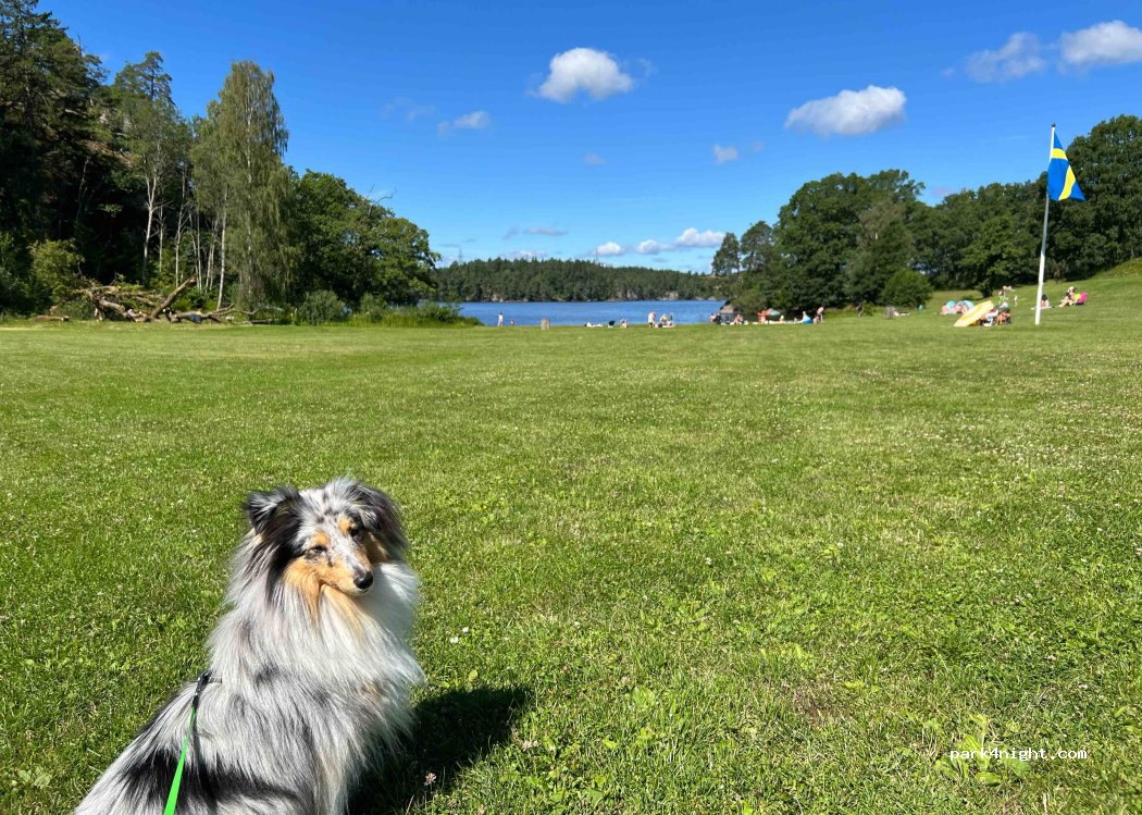 Mårängens Camping & Bad AB — foto 4