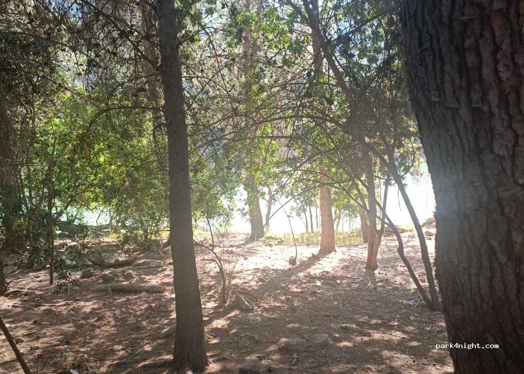(29320) Gobantes - Unnamed Road — foto 2
