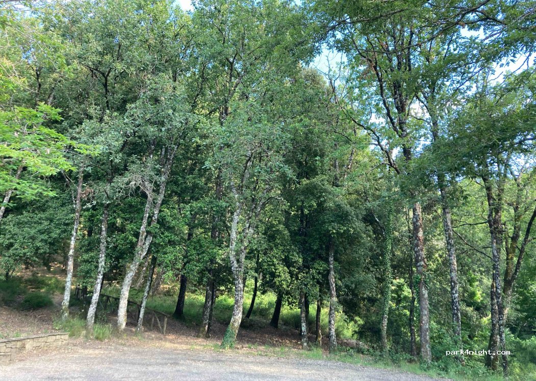 (52100) Arezzo - Strada Comunale Monte Lignano — foto 2