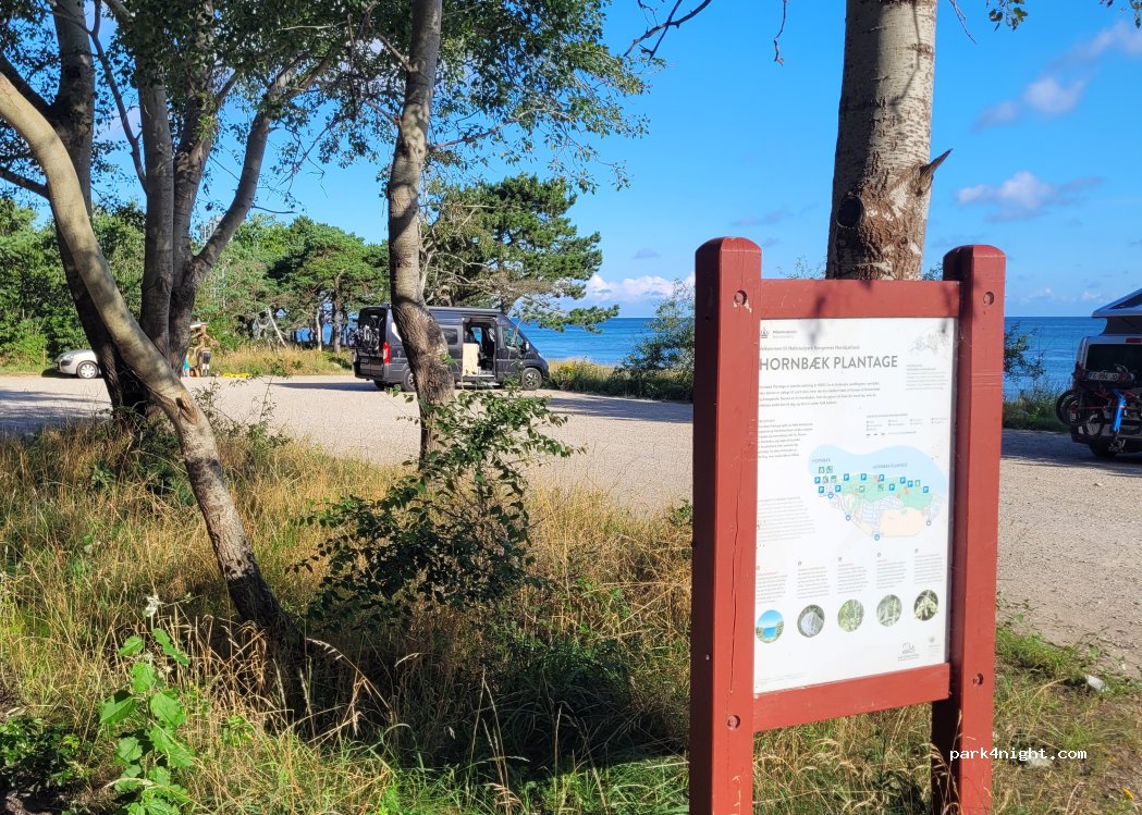 (3100) Hornbæk - Nordre Strandvej — foto 4