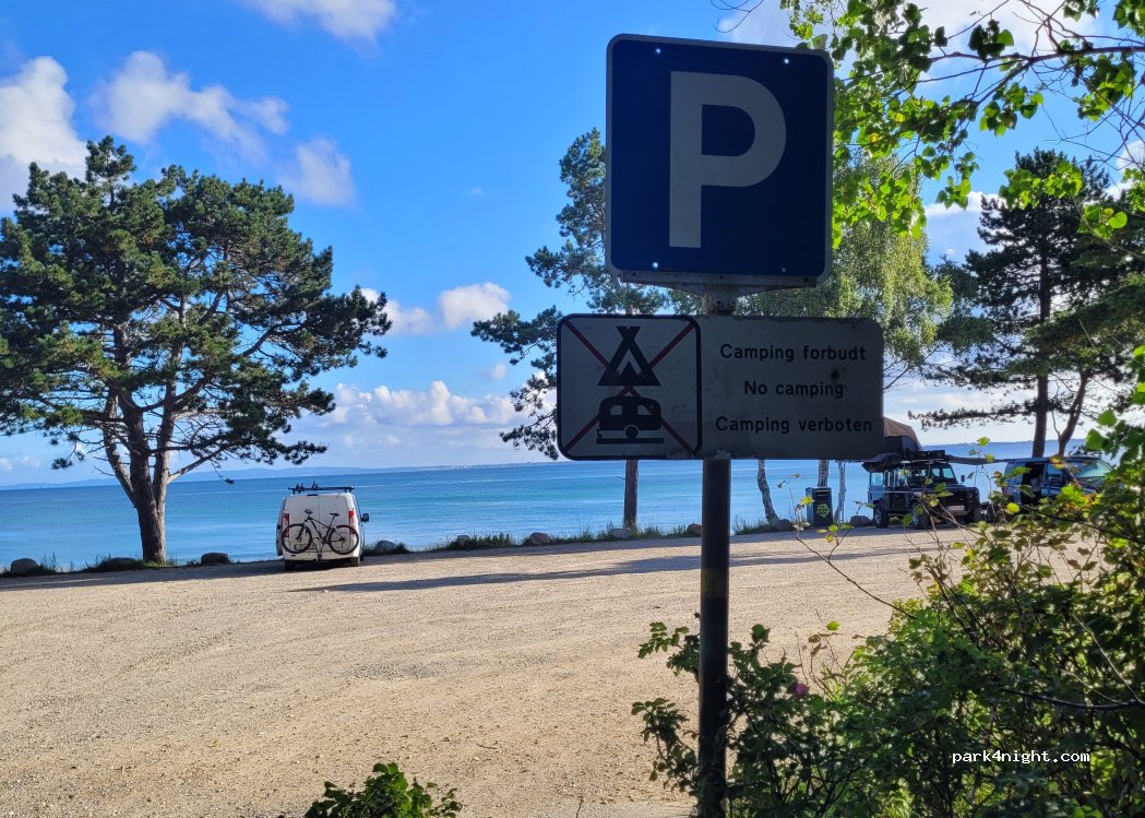 (3100) Hornbæk - Nordre Strandvej — foto 5