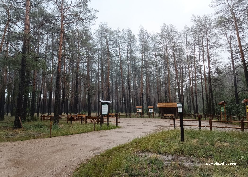 (07-436) Szafranki - Unnamed Road — foto