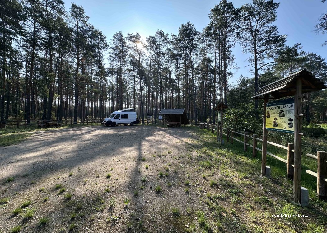 (07-436) Szafranki - Unnamed Road — foto 4