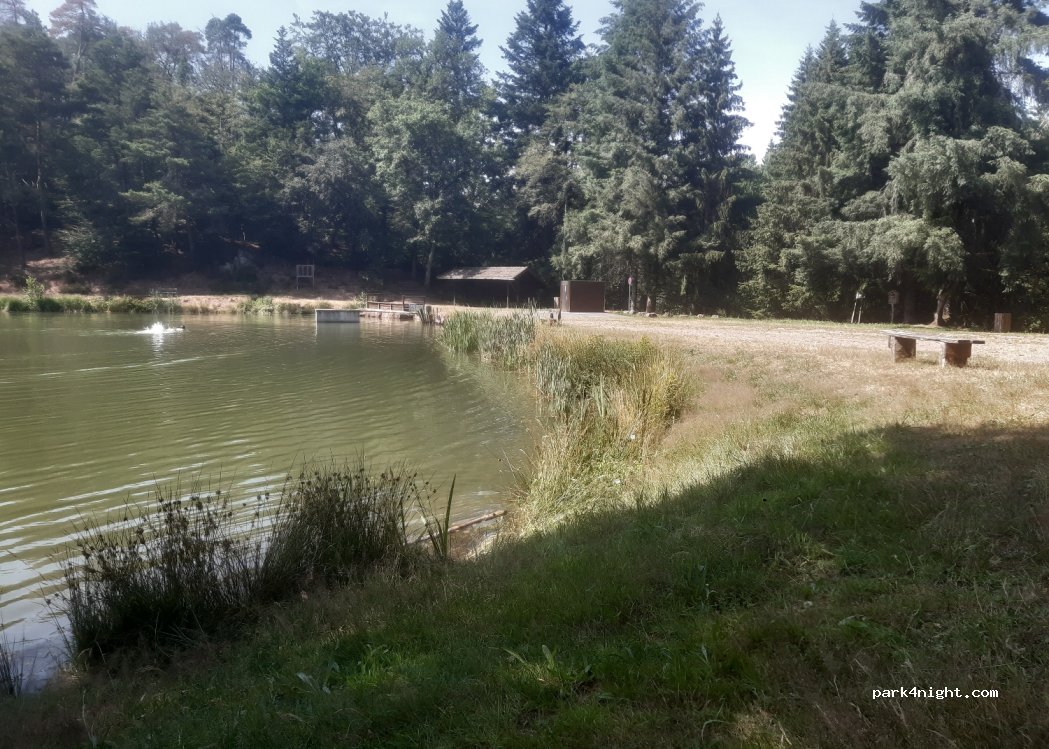 (88240) La Haye - Unnamed Road — foto