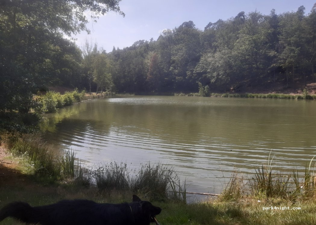 (88240) La Haye - Unnamed Road — foto 2