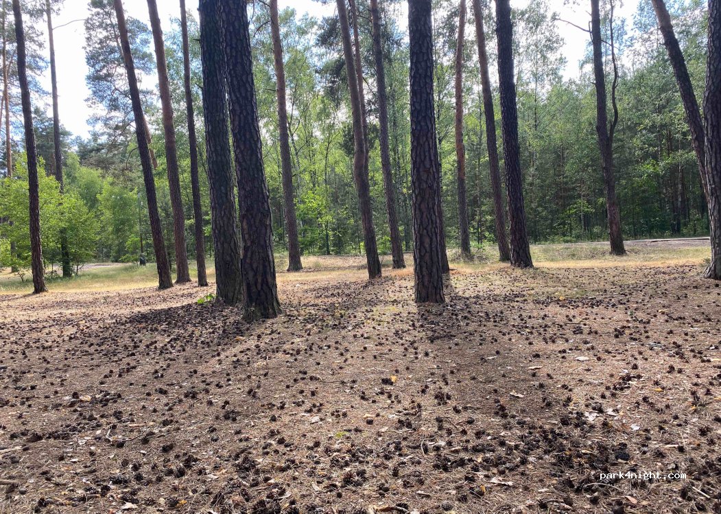 Autokemp Klůček Ke Klůčku — foto
