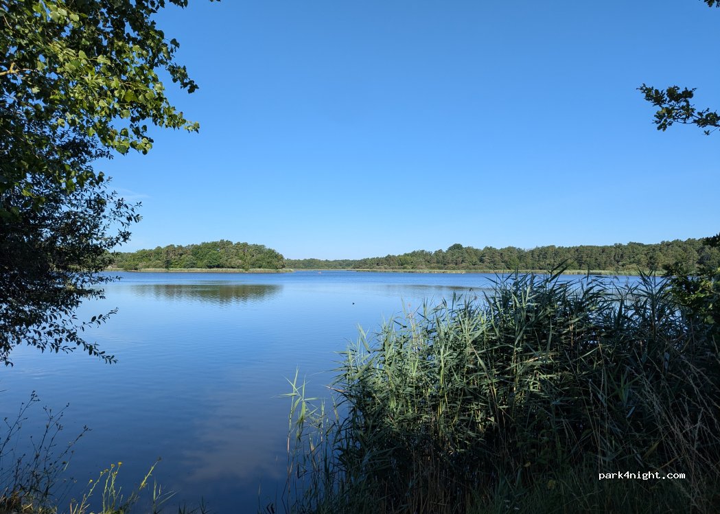 (45530) Combreux - Rte des Petites Liesses — foto 3