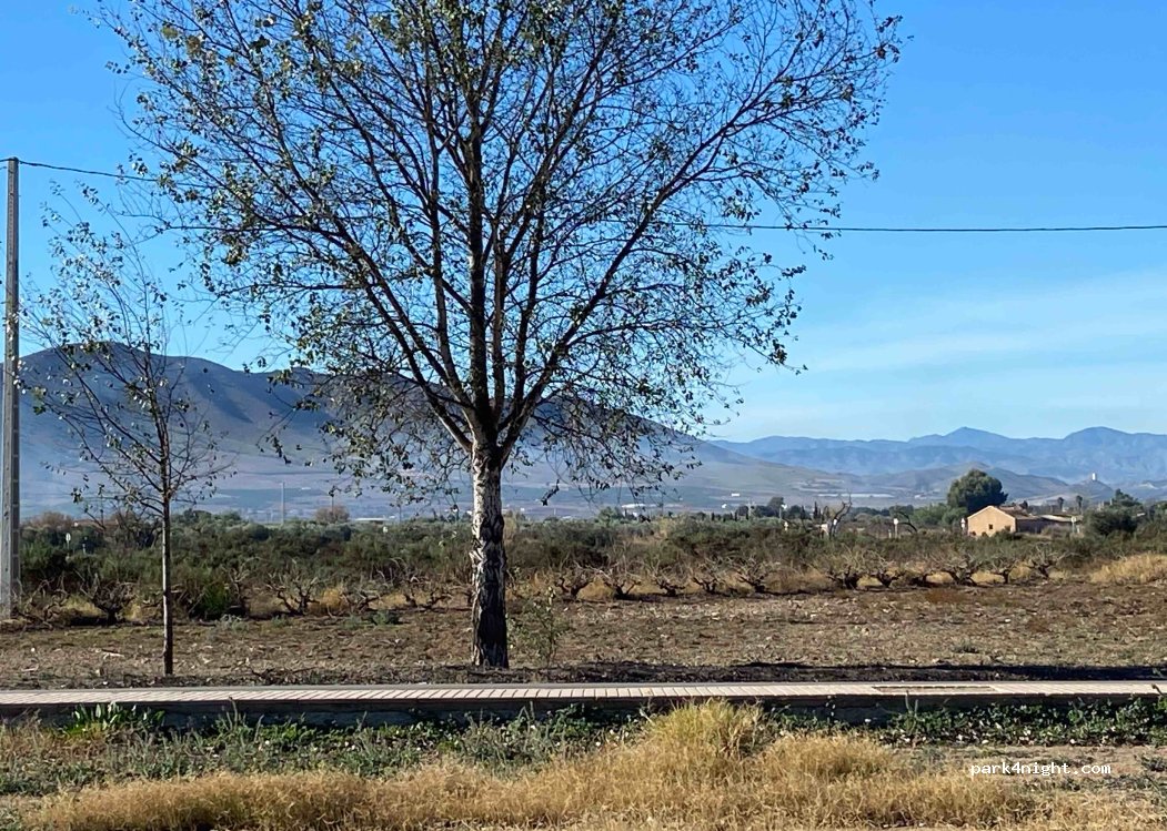 (04600) Huércal-Overa - 460 Calle Alondra — foto 2