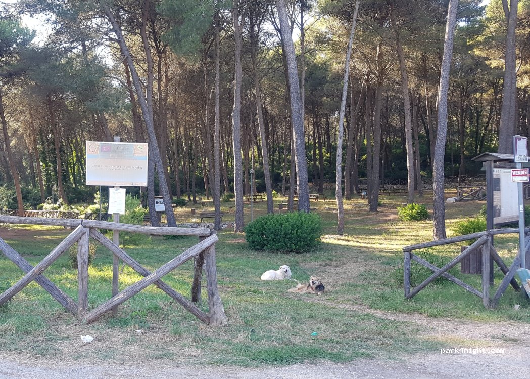 (72013) Ceglie Messapica - Unnamed Road — foto 3
