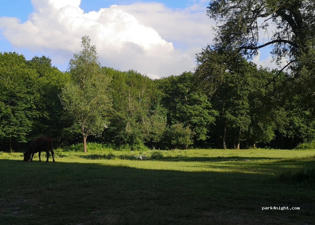 (67902) Sipahiler - — foto 2
