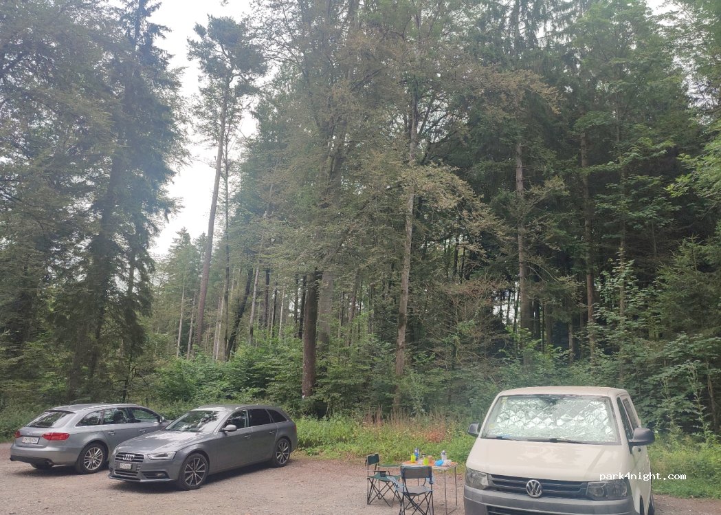 (8912) Maschwanden - — foto 2