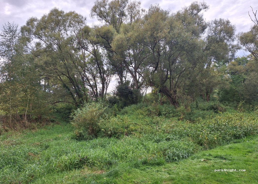 U Kerama camping — foto 5