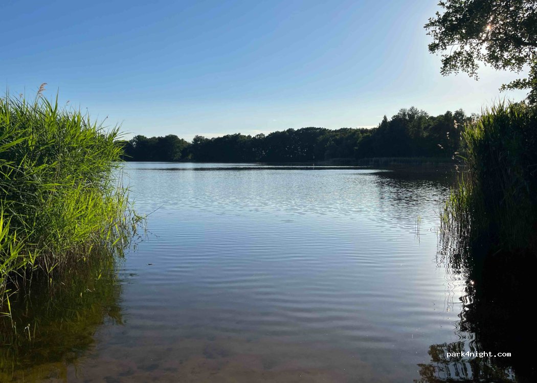 Campingplatz am Dammühlenteich — foto 3