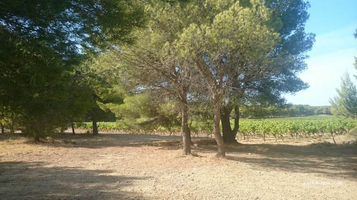 (11430) Gruissan - Unnamed Road — foto
