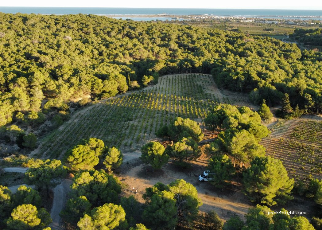 (11430) Gruissan - Unnamed Road — foto 4