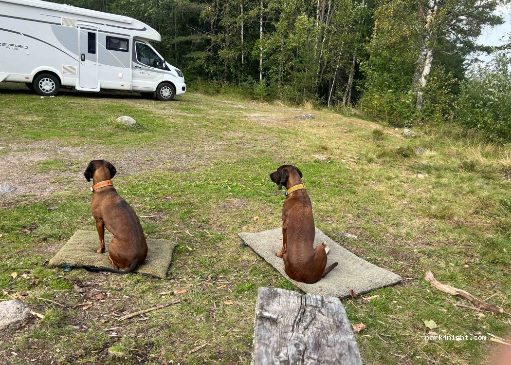 (714 91) Sandsjön - — foto 4