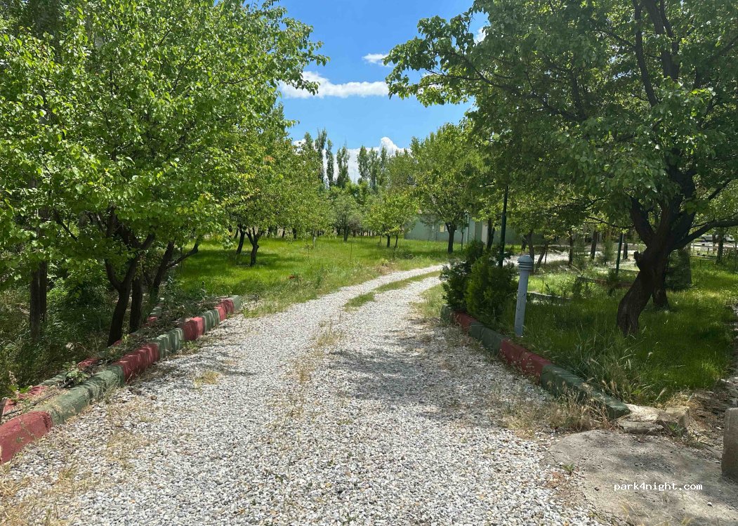 Ricardo Camping — foto 4