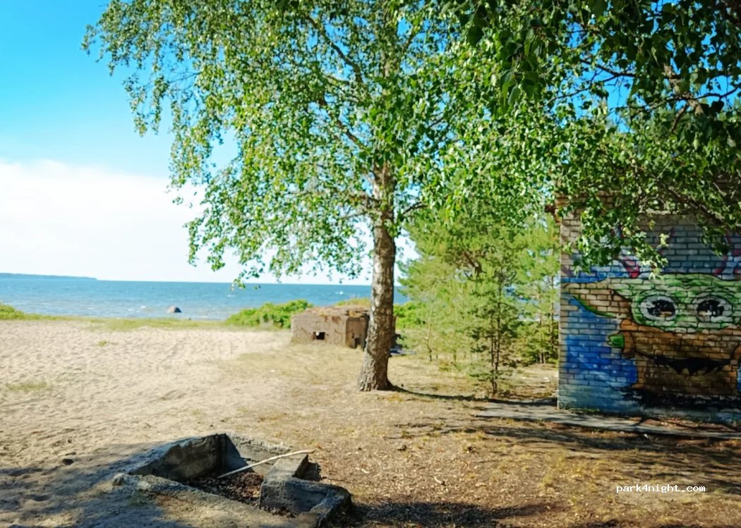(45451) Rutja - — foto