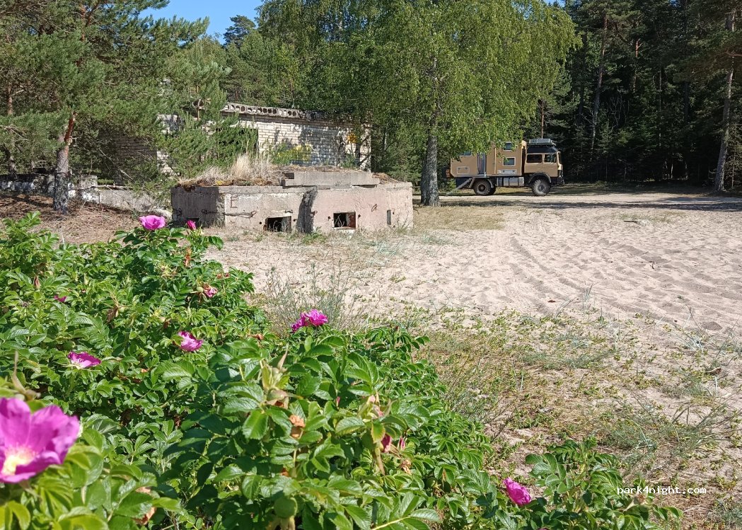 (45451) Rutja - — foto 2