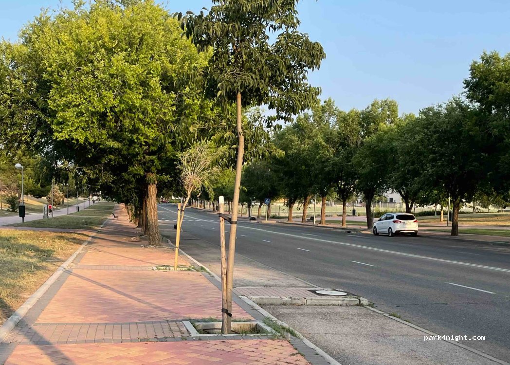 (28031) Madrid - Calle la Granja de San Ildefonso — foto 2