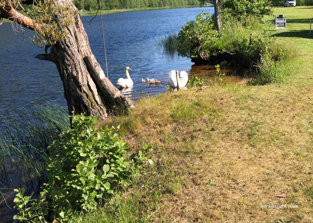 (4520) Sør-audnedal - 81 Sekundær Fylkesveg 407 — foto 2