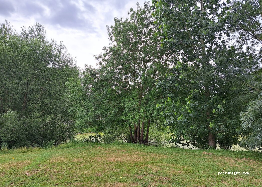 (49610) Les Garennes sur Loire - 7 Route des Bas — foto 2