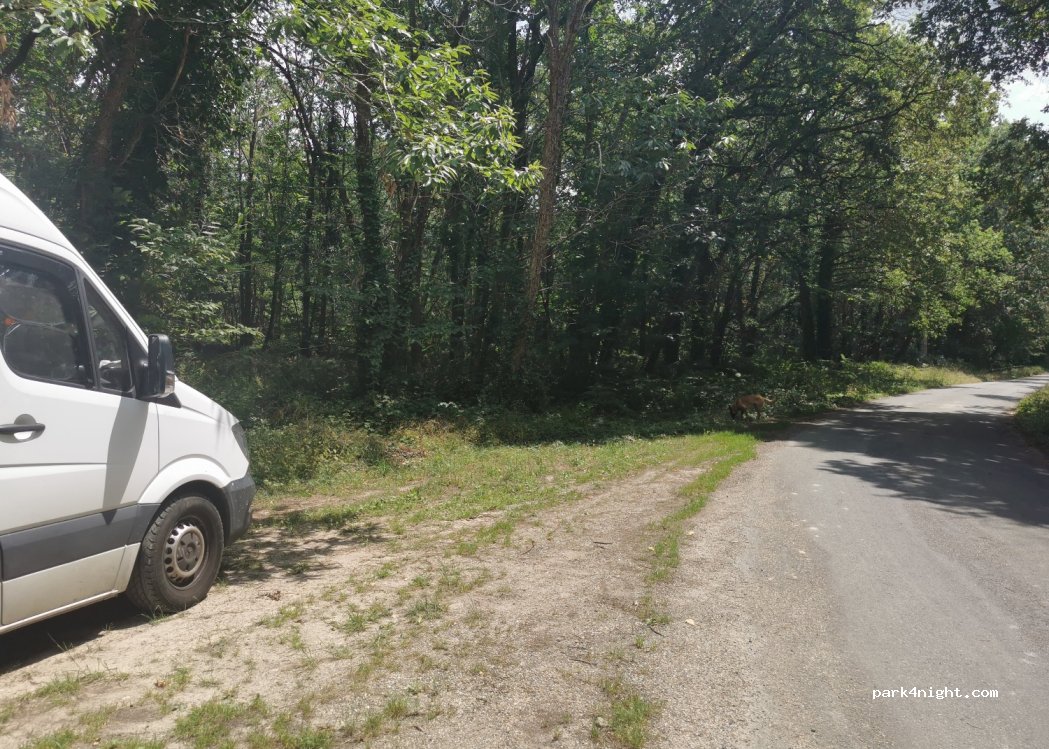 (47160) Puch-d'Agenais - — foto 3