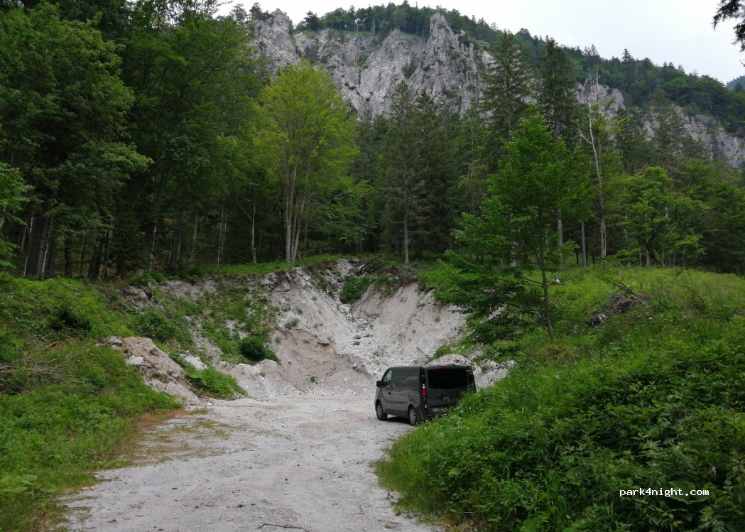 (4290) Tržič - — foto