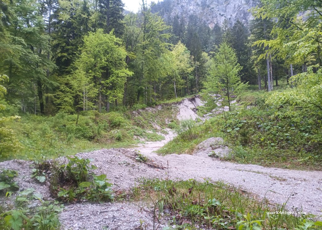 (4290) Tržič - — foto 5
