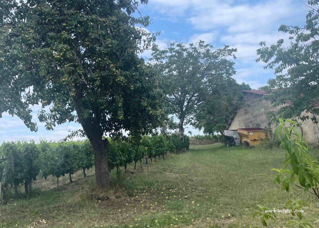 Château St-Ferdinand — foto 3