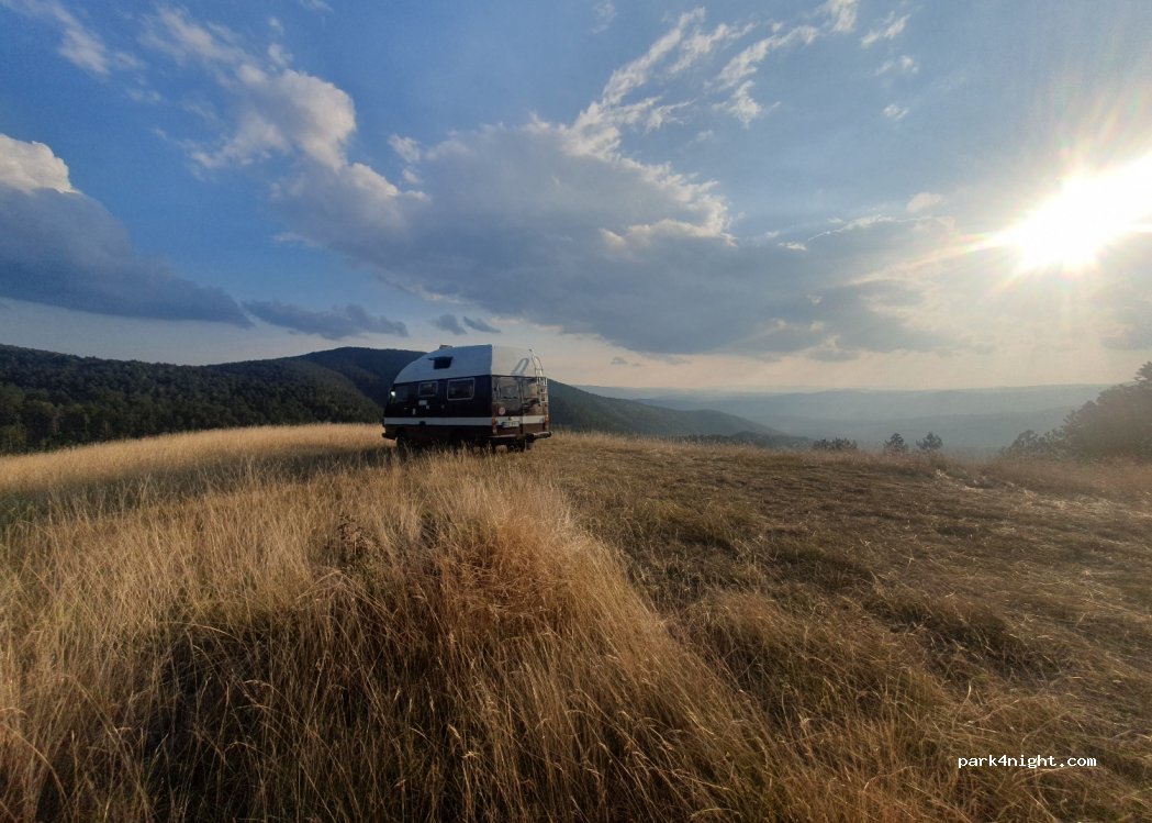 () Mrčići - — foto 4