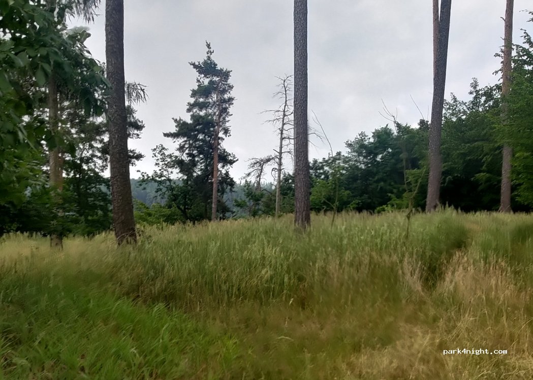 (675 02) Třesov - — foto 2