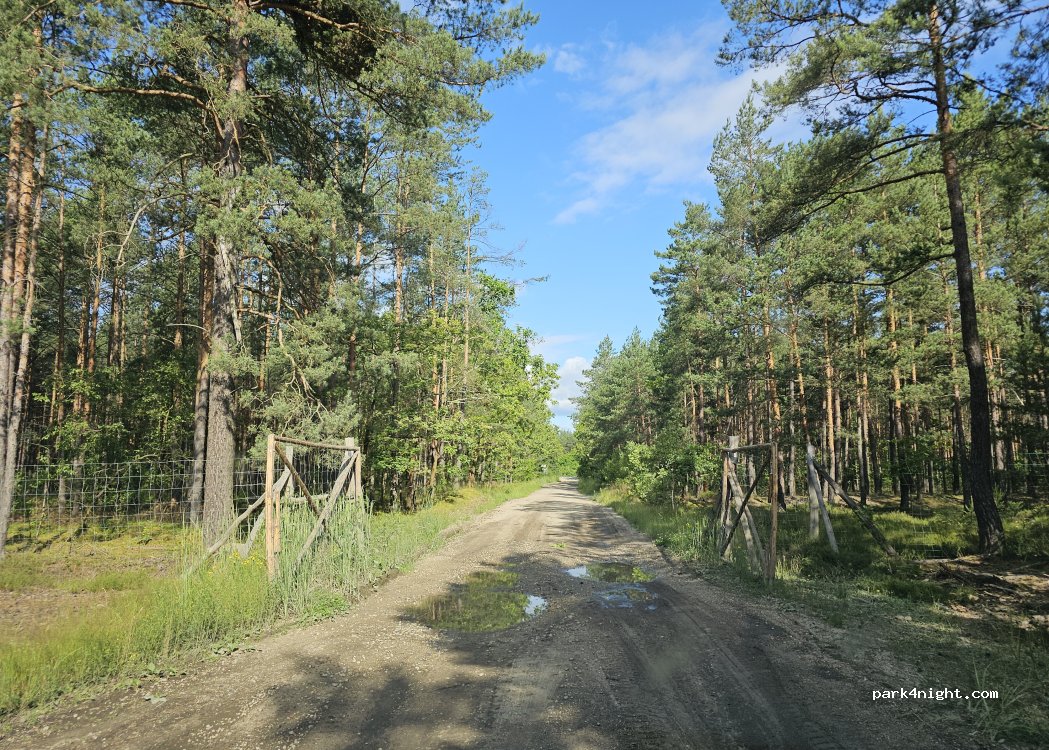(59-707) Trzebień - — foto 5