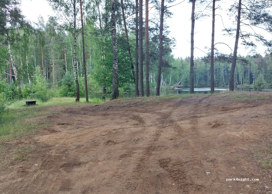 (5456) Liepziedi - — foto 3