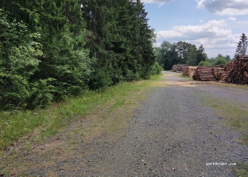 (92539) Schönsee - — foto
