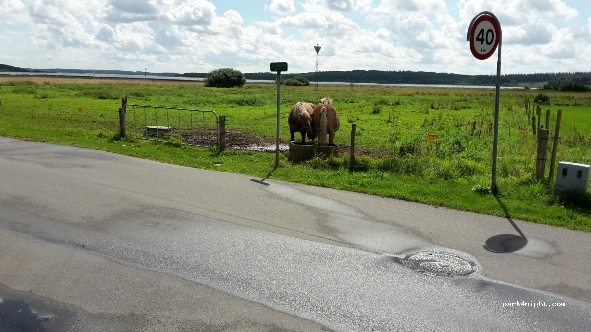 Hadsund camping og vandrerhjem — foto 2