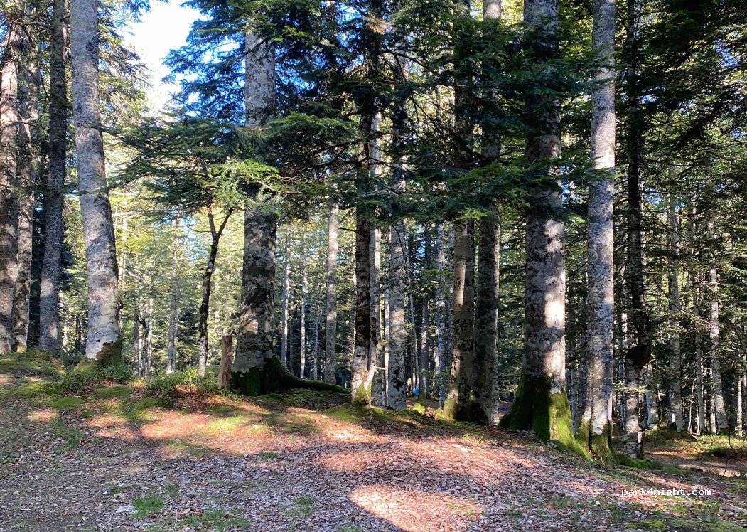 Natural Area of Camping D'Iraty — foto 4