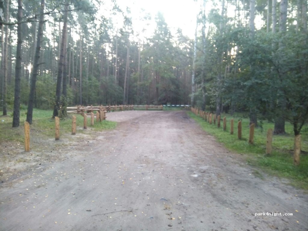 ()  - Partyzantów — foto 2