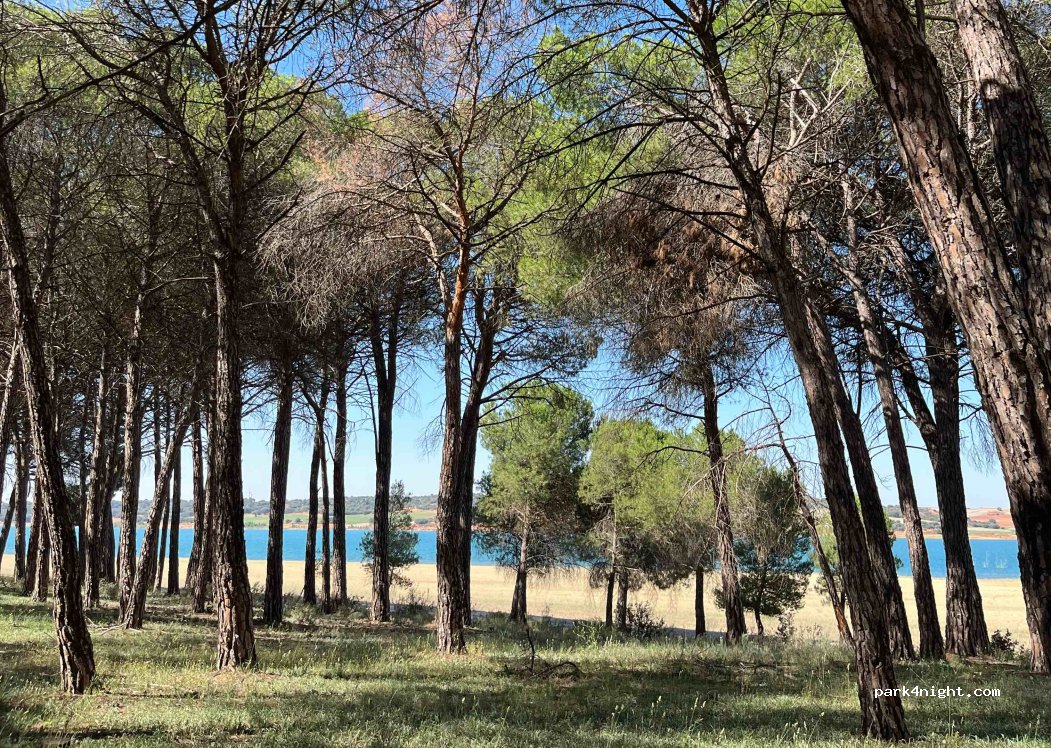 (16100) Valverde de Júcar - Unnamed Road — foto 3