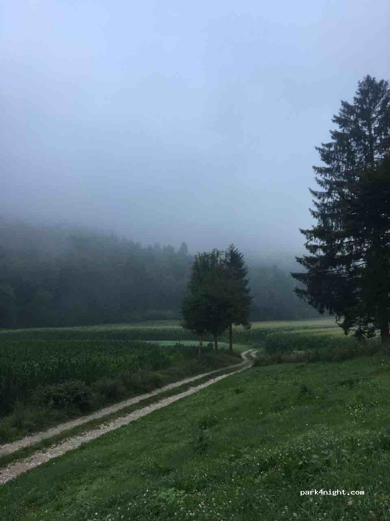 (38075) Fiavè - Strada Statale 421 — foto 2