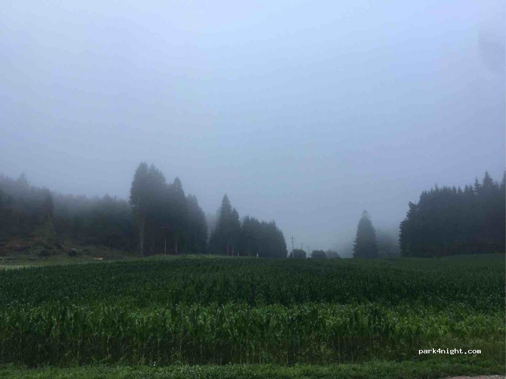 (38075) Fiavè - Strada Statale 421 — foto 3