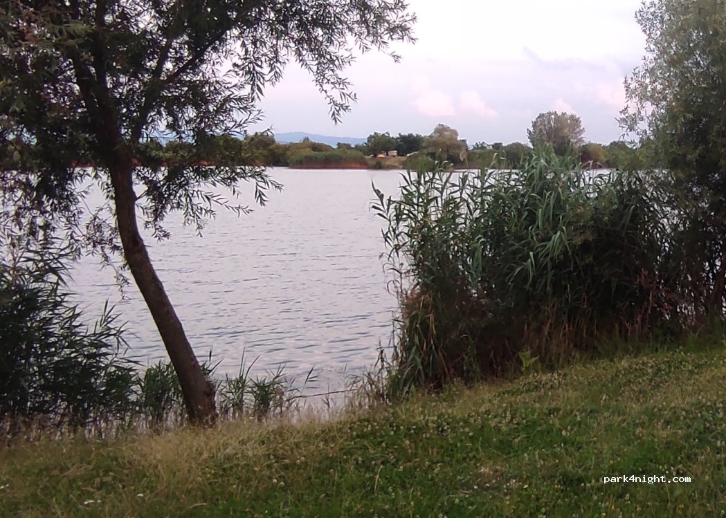 (447181) Adrian - — foto 3