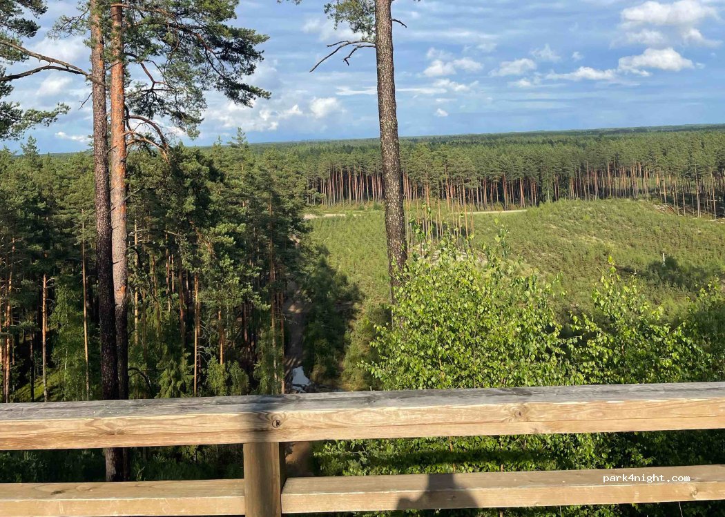 (3933) Zvirgzde - — foto