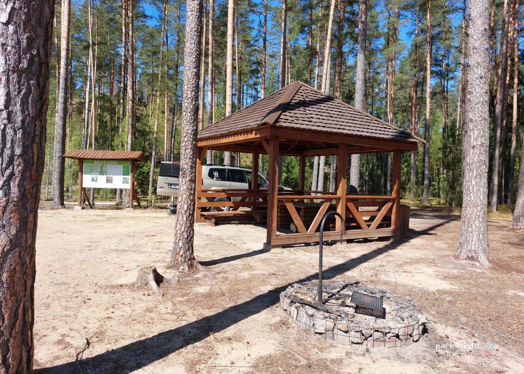 (3933) Zvirgzde - — foto 2