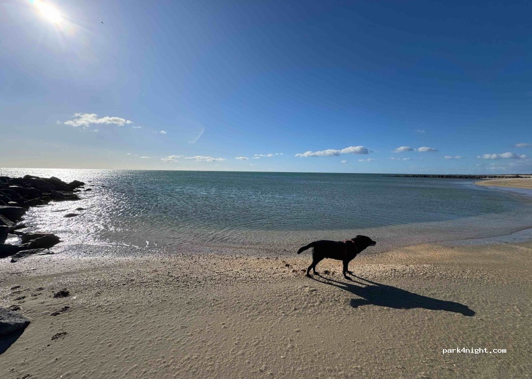 (34200) Sète - — foto 5
